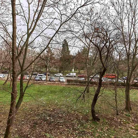 Appartement бриз